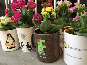 Canecas ganhas em eventos no beiral da minha janela