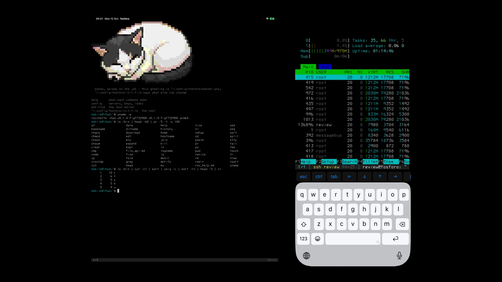 fosforo on an iPad, with the rocchetto shell and Gohan the cat as the banner, and on an iPhone with a system monitor open over SSH